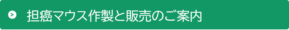 担癌マウスの作製と販売のご案内